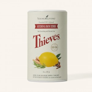 Thieves 盜賊廚廁去污粉