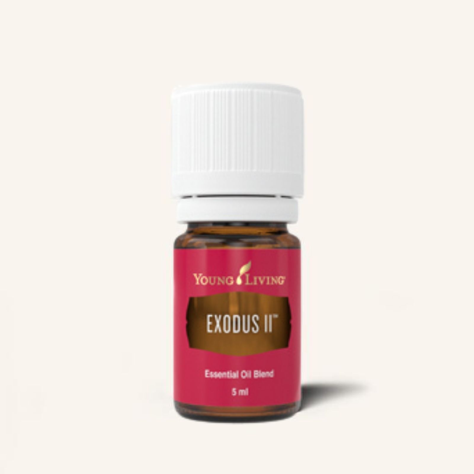 Exodus II