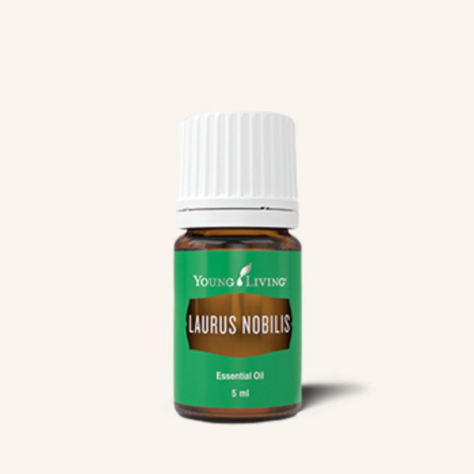 Laurus Nobilis 月桂