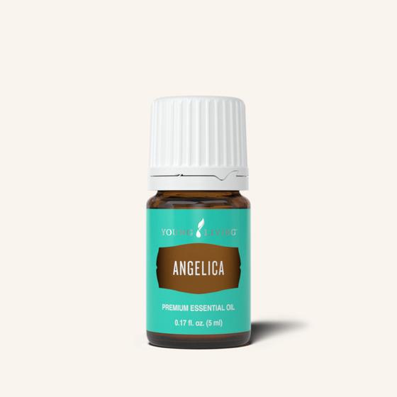 Angelica 歐白芷