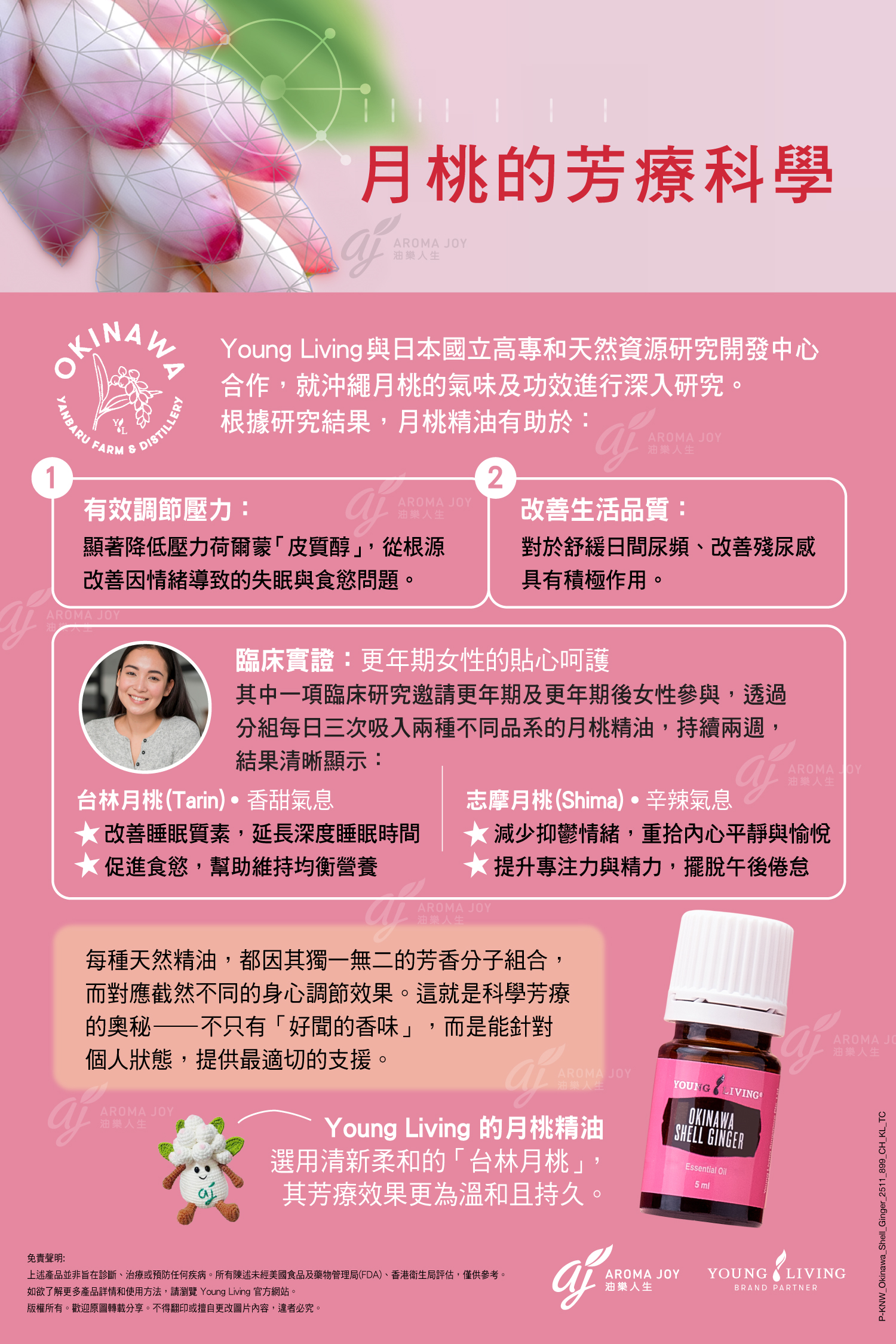 雨滴精油按摩 上