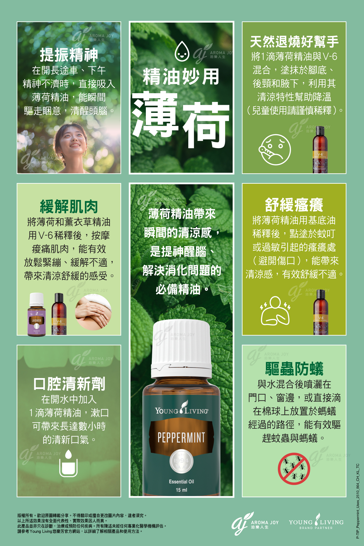 雨滴精油按摩 上