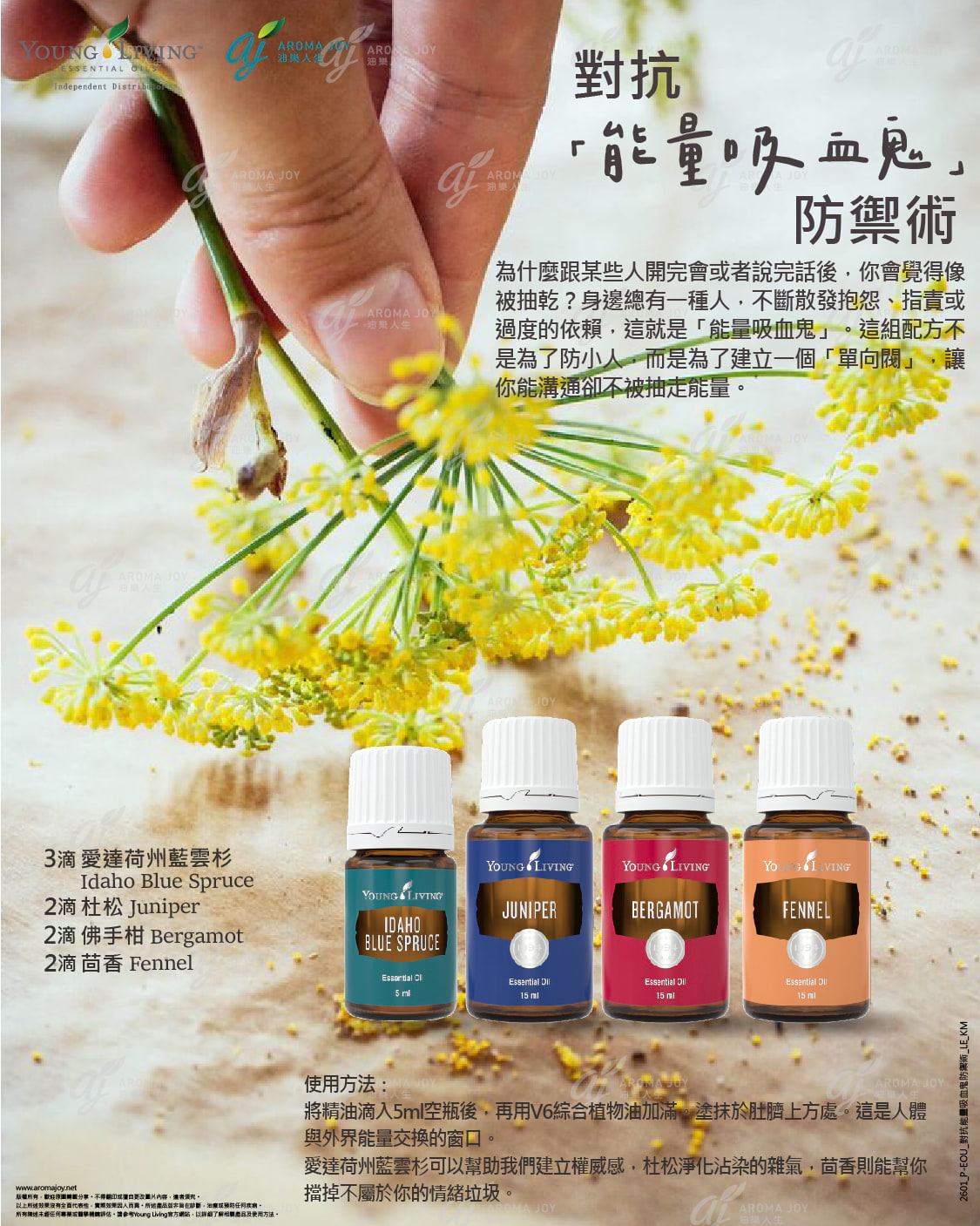 對抗能量吸血鬼防禦術