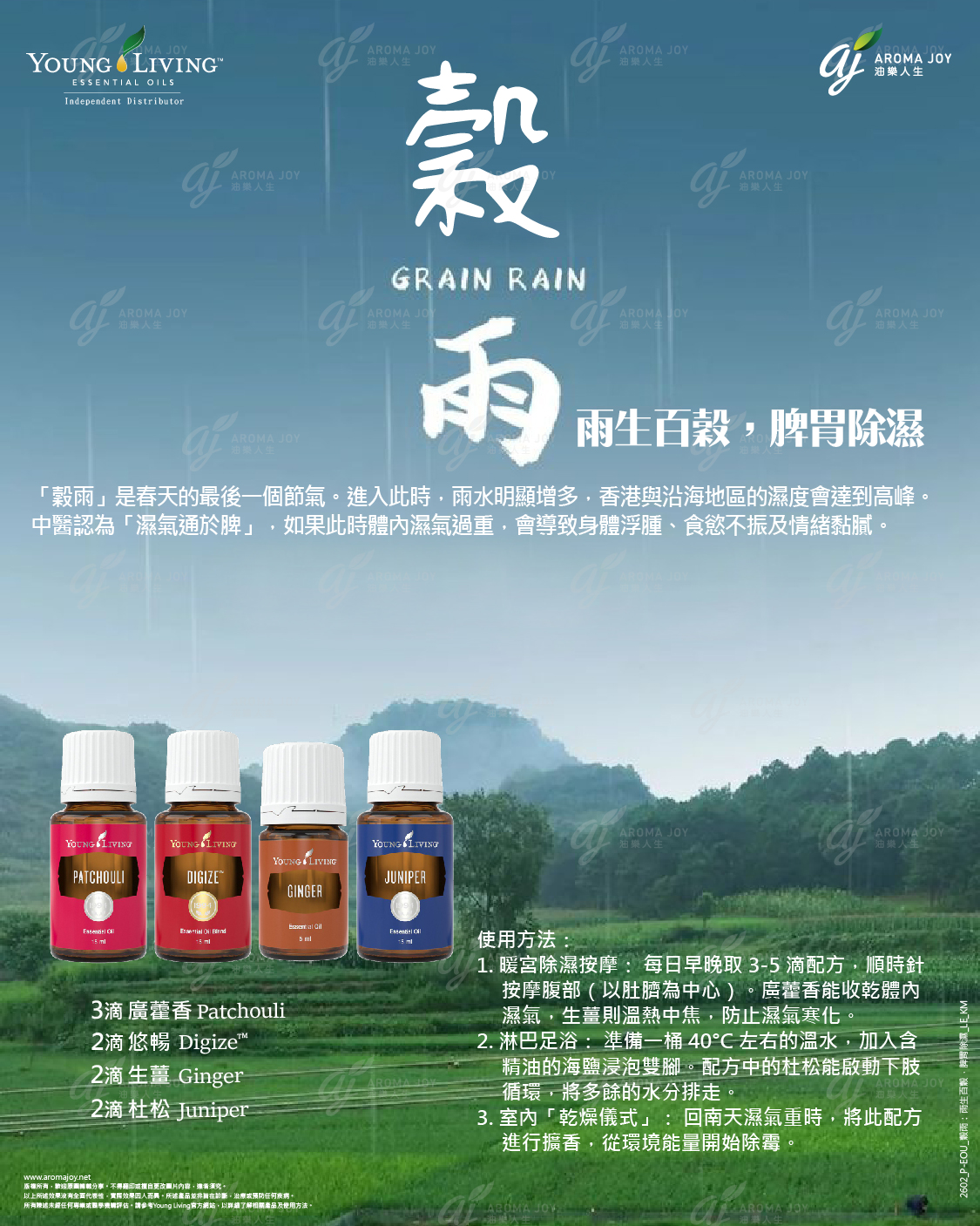 穀雨：雨生百穀，脾胃除濕