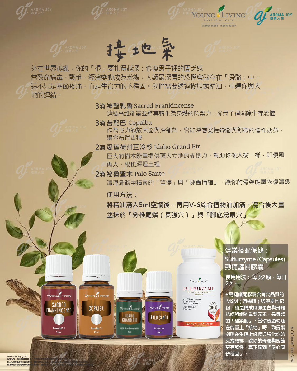 接地氣：外在世界越亂，你的「根」要扎得越深