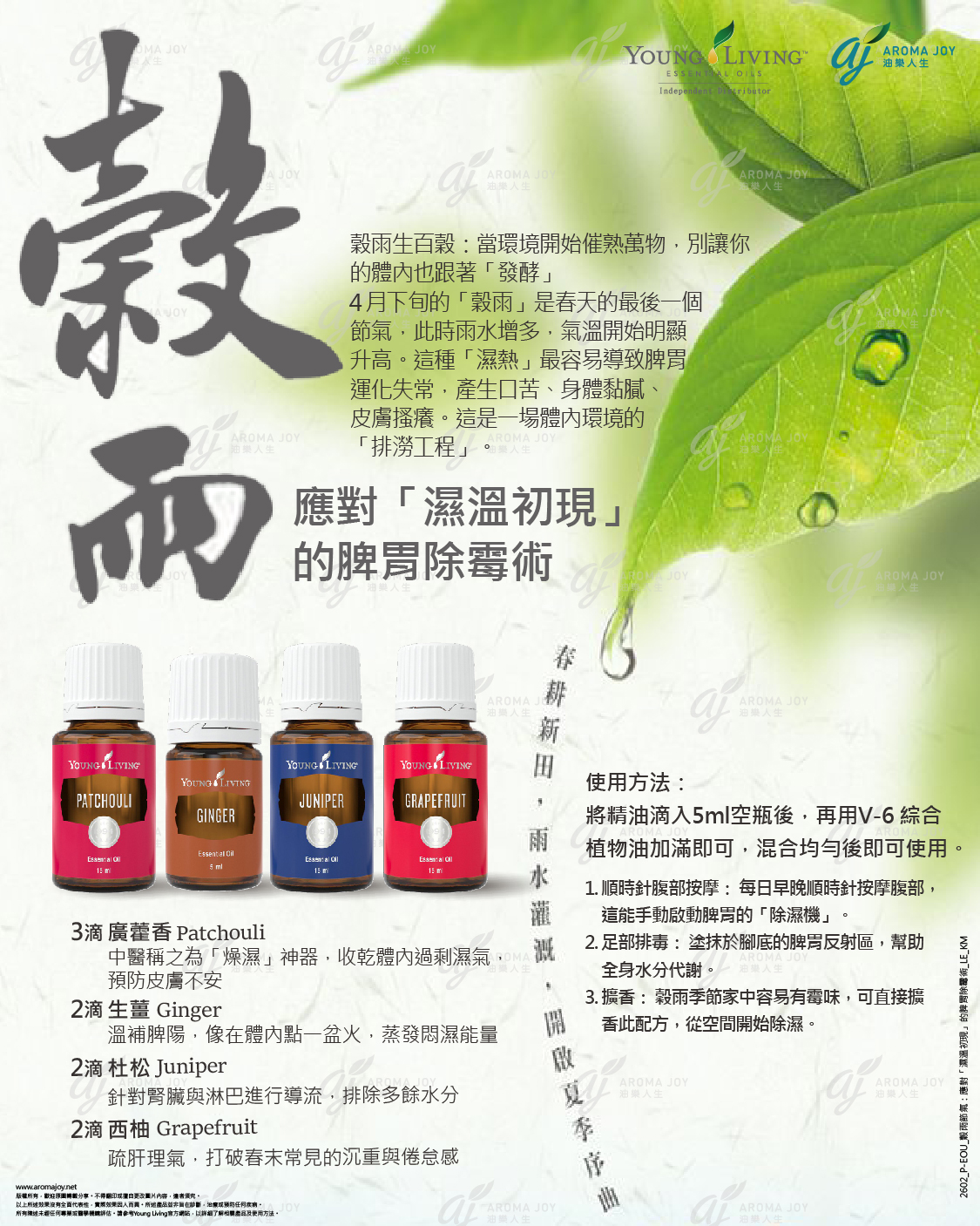 穀雨節氣：應對「濕溫初現」的脾胃除霉術