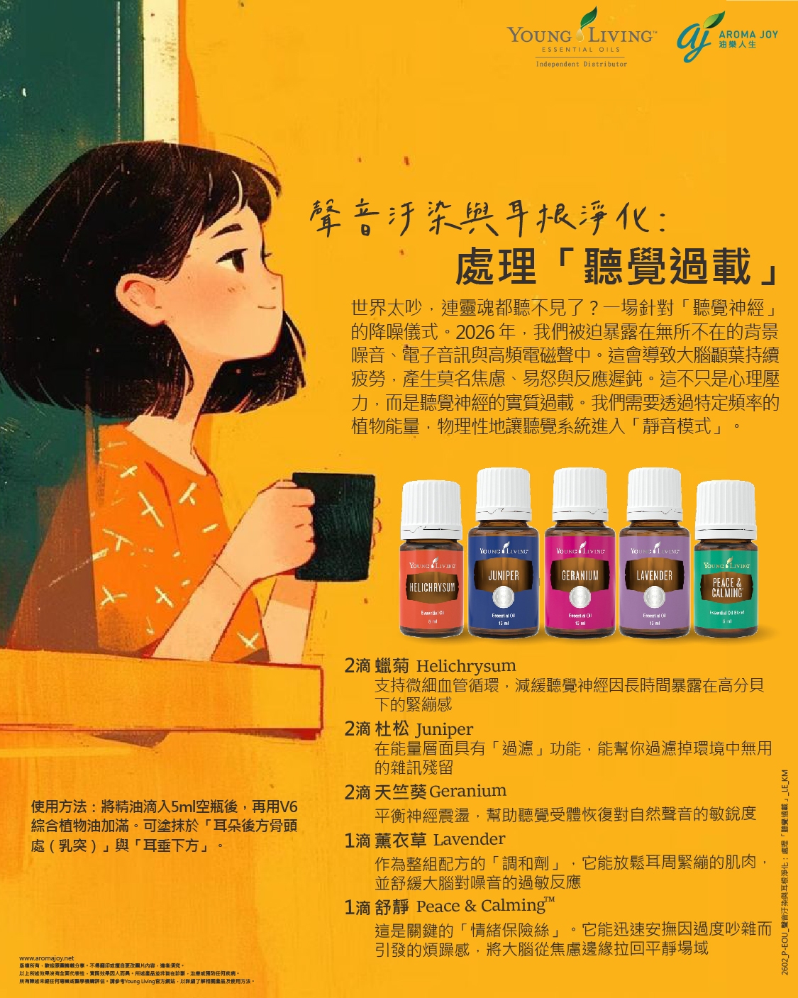 聲音汙染與耳根淨化：處理「聽覺過載」