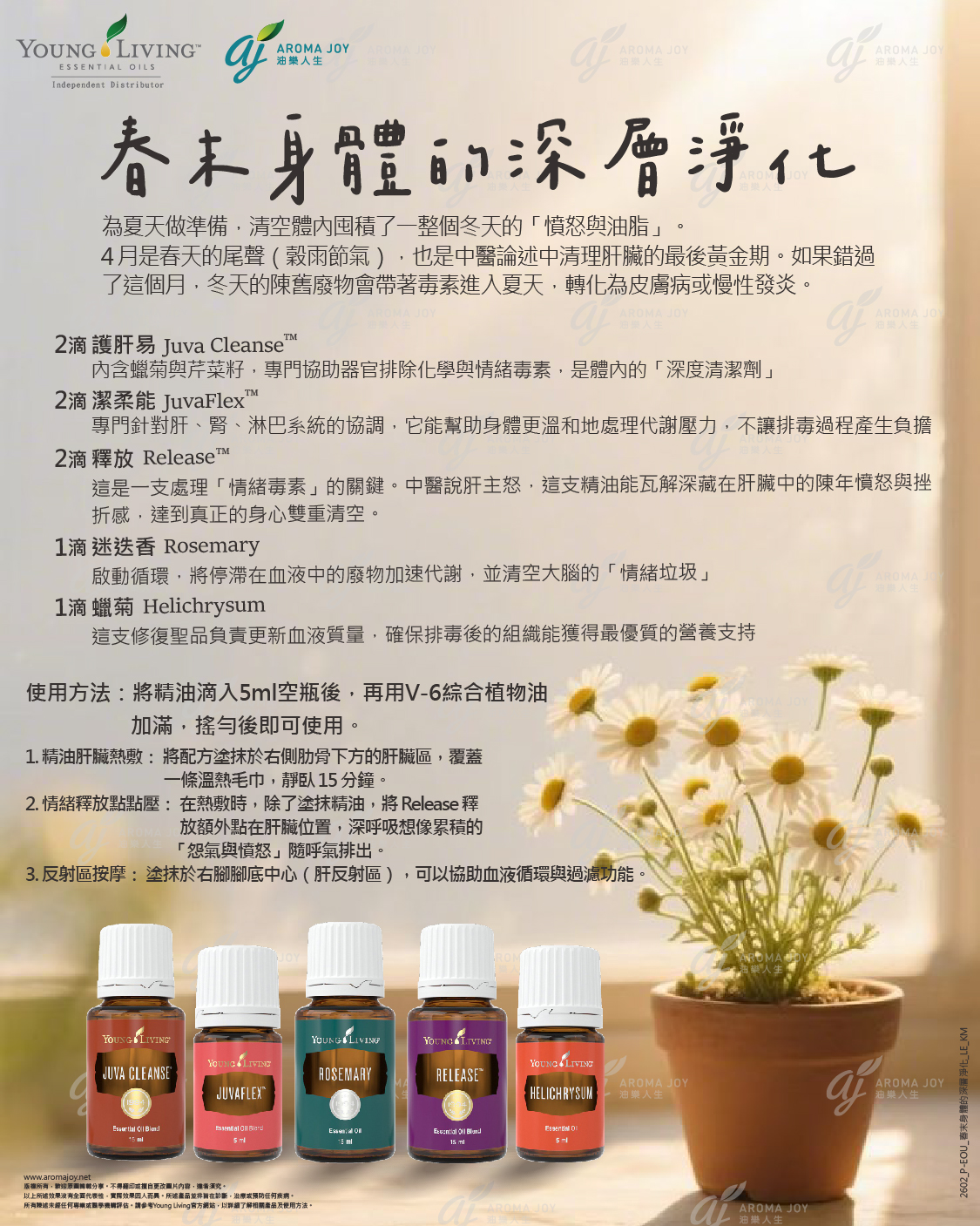 春末身體的深層淨化：為夏天做準備，清空體內囤積了一整個冬天的「憤怒與油脂」