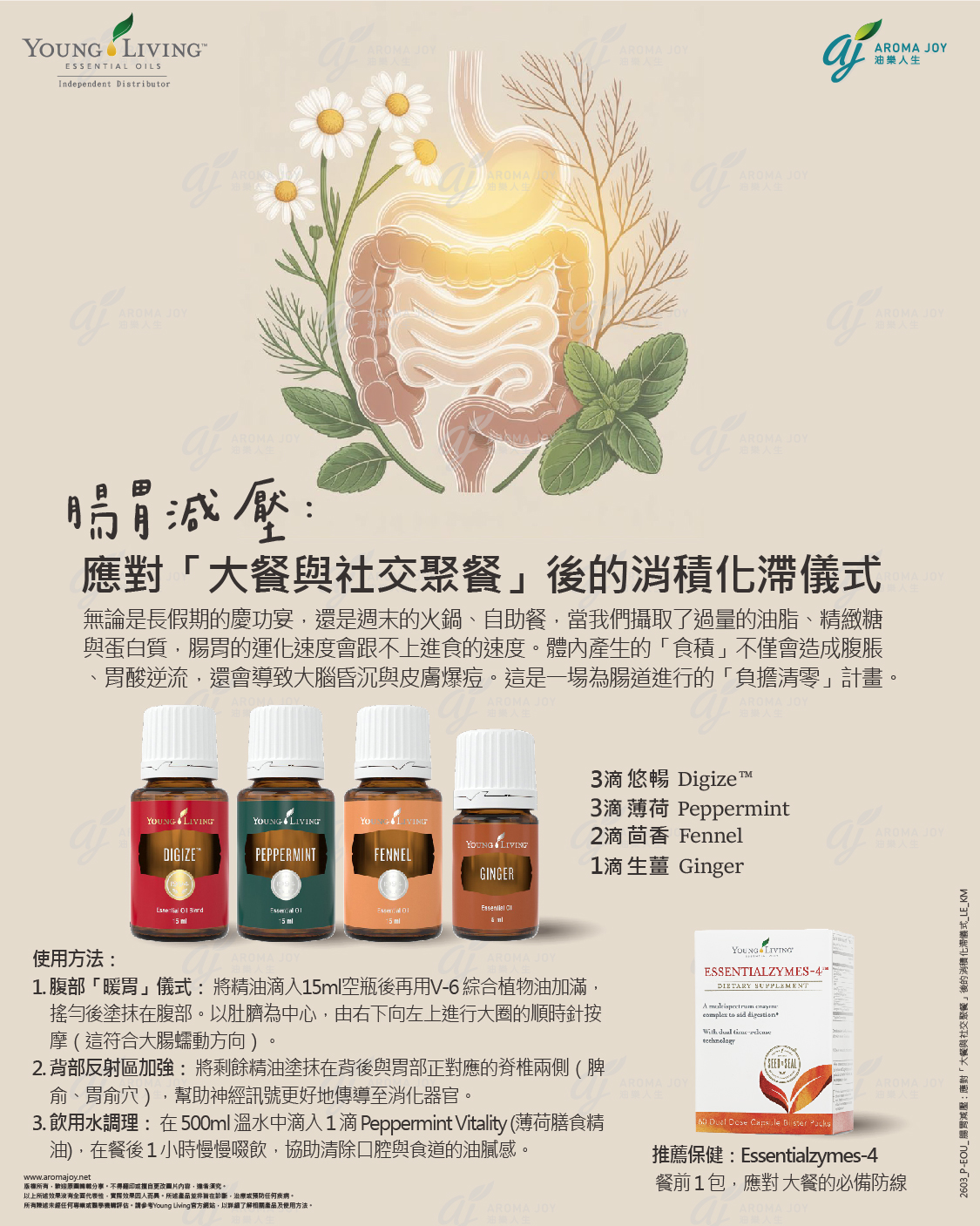 腸胃減壓：應對「大餐與社交聚餐」後的消積化滯儀式