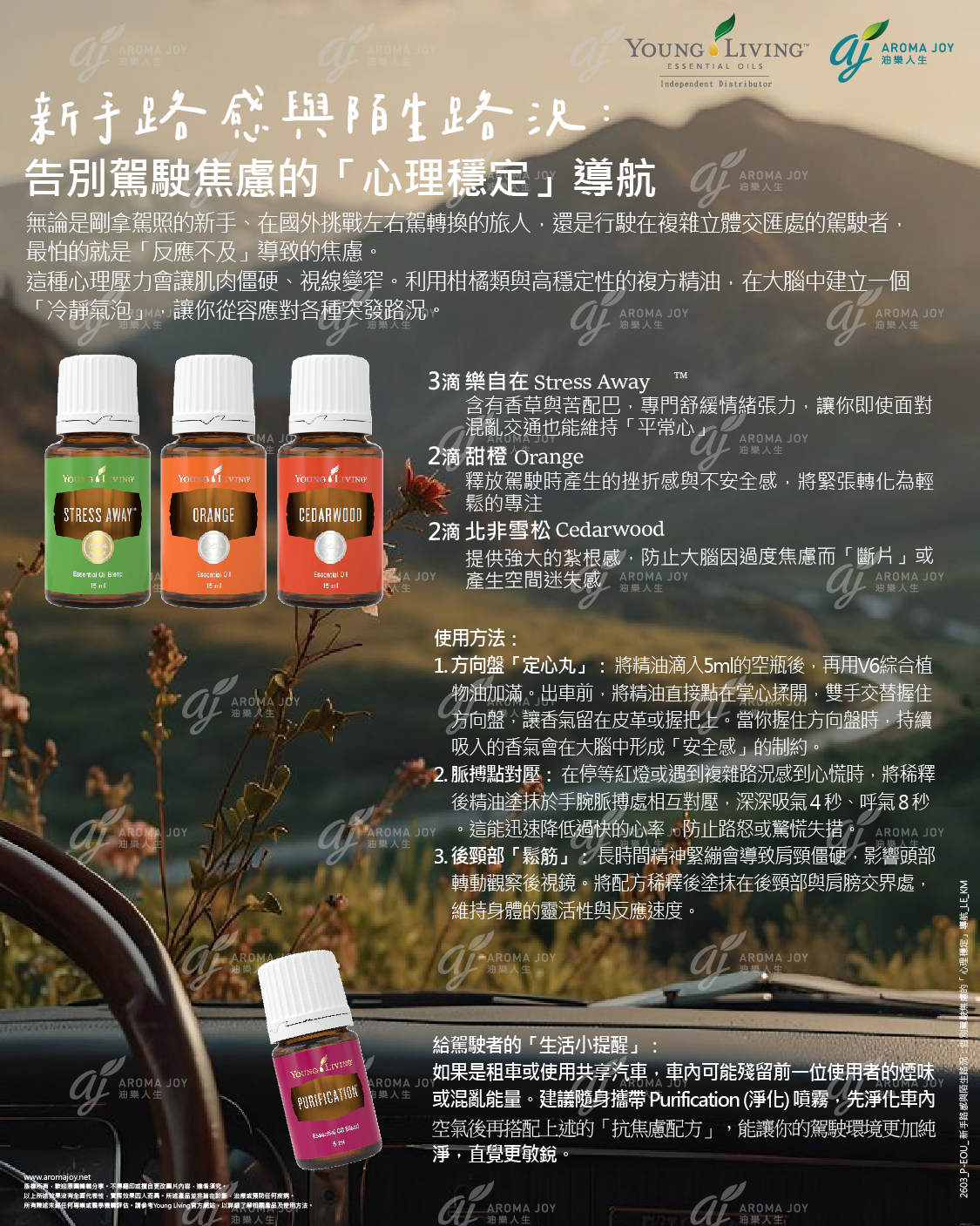 新手路感與陌生路況：告別駕駛焦慮的「心理穩定」導航