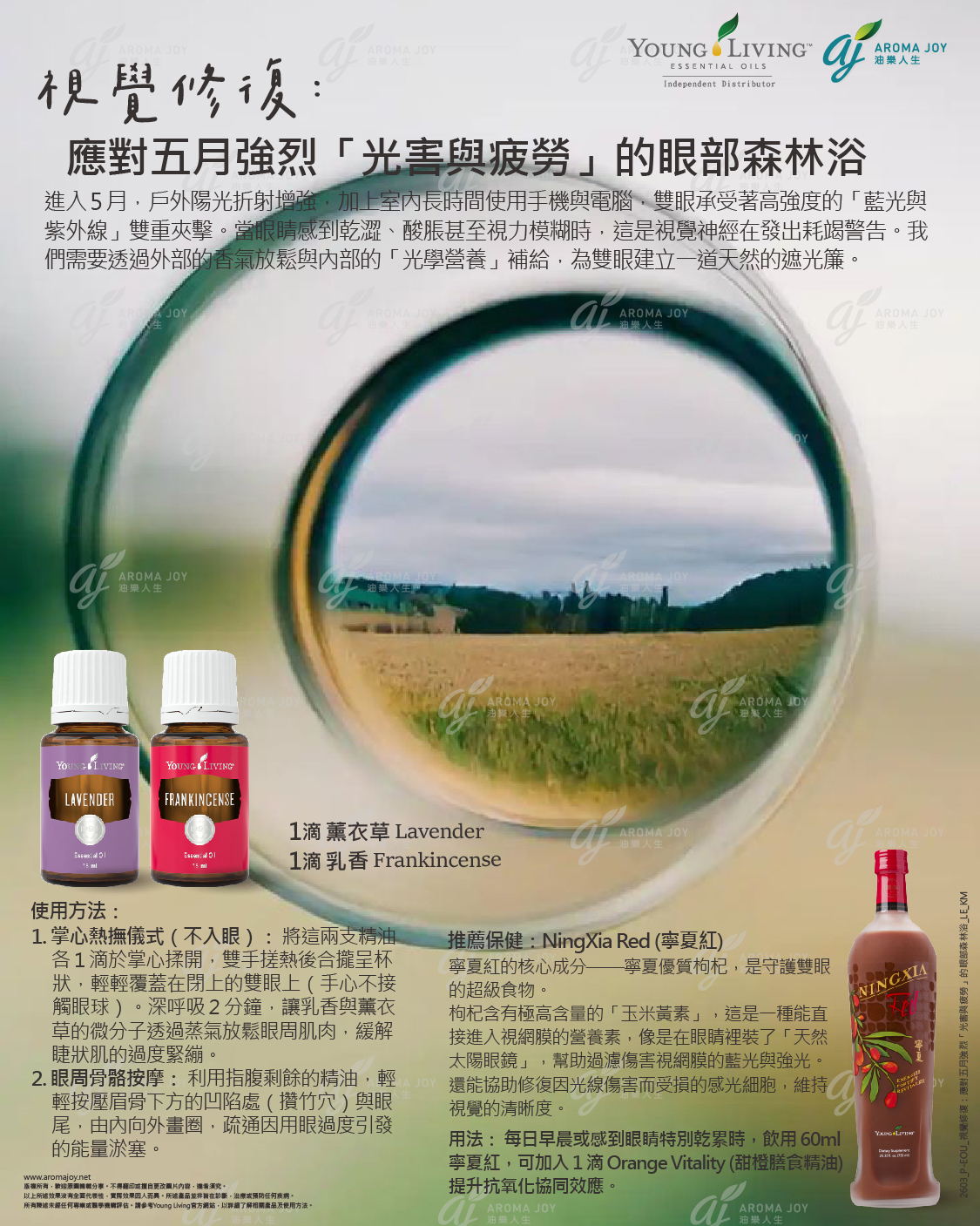 視覺修復:應對五月強烈光害與疲勞的眼部森林浴