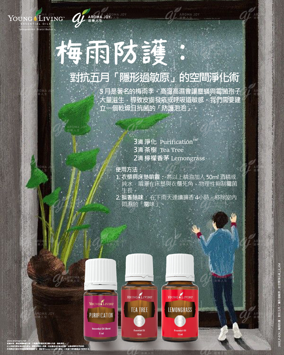梅雨防護：對抗五月「隱形過敏原」的空間淨化術