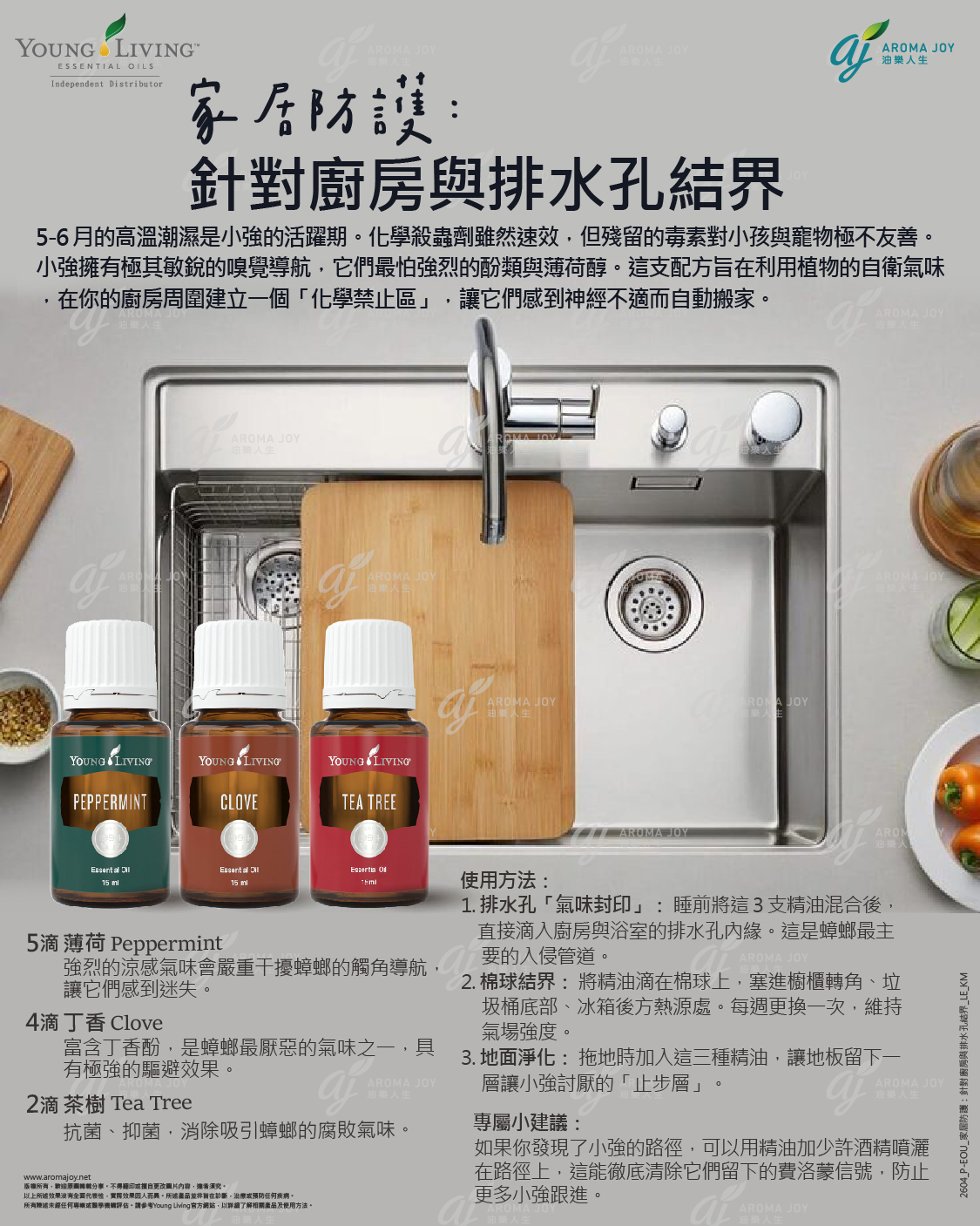家居防護:針對廚房與排水孔結界