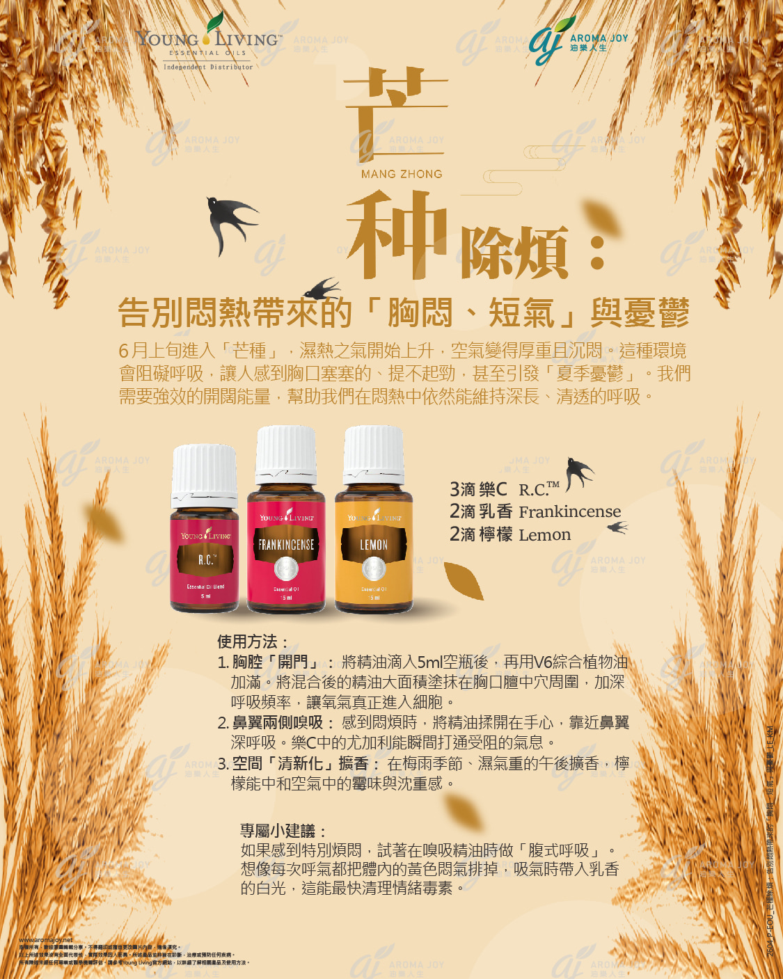 芒種除煩：告別悶熱帶來的胸悶短氣與憂鬱
