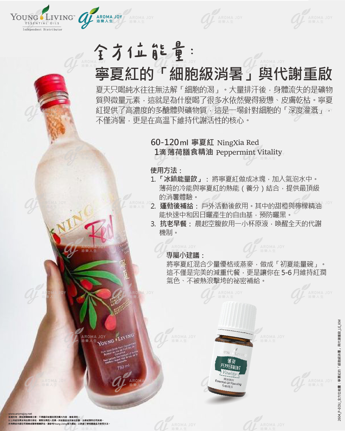 全方位能量：寧夏紅的細胞級消暑與代謝重啟