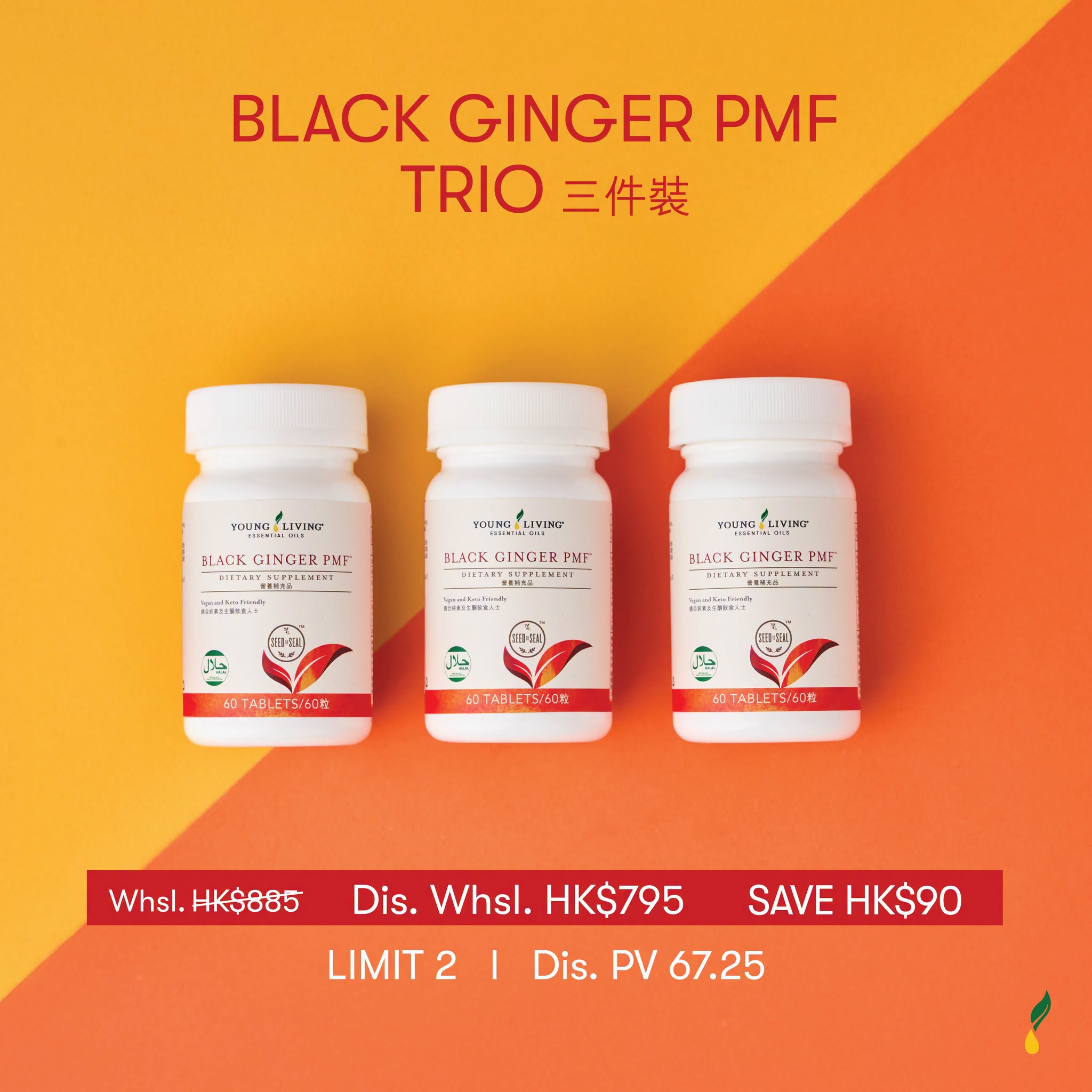 BLACK GINGER PMF TRIO 三件裝